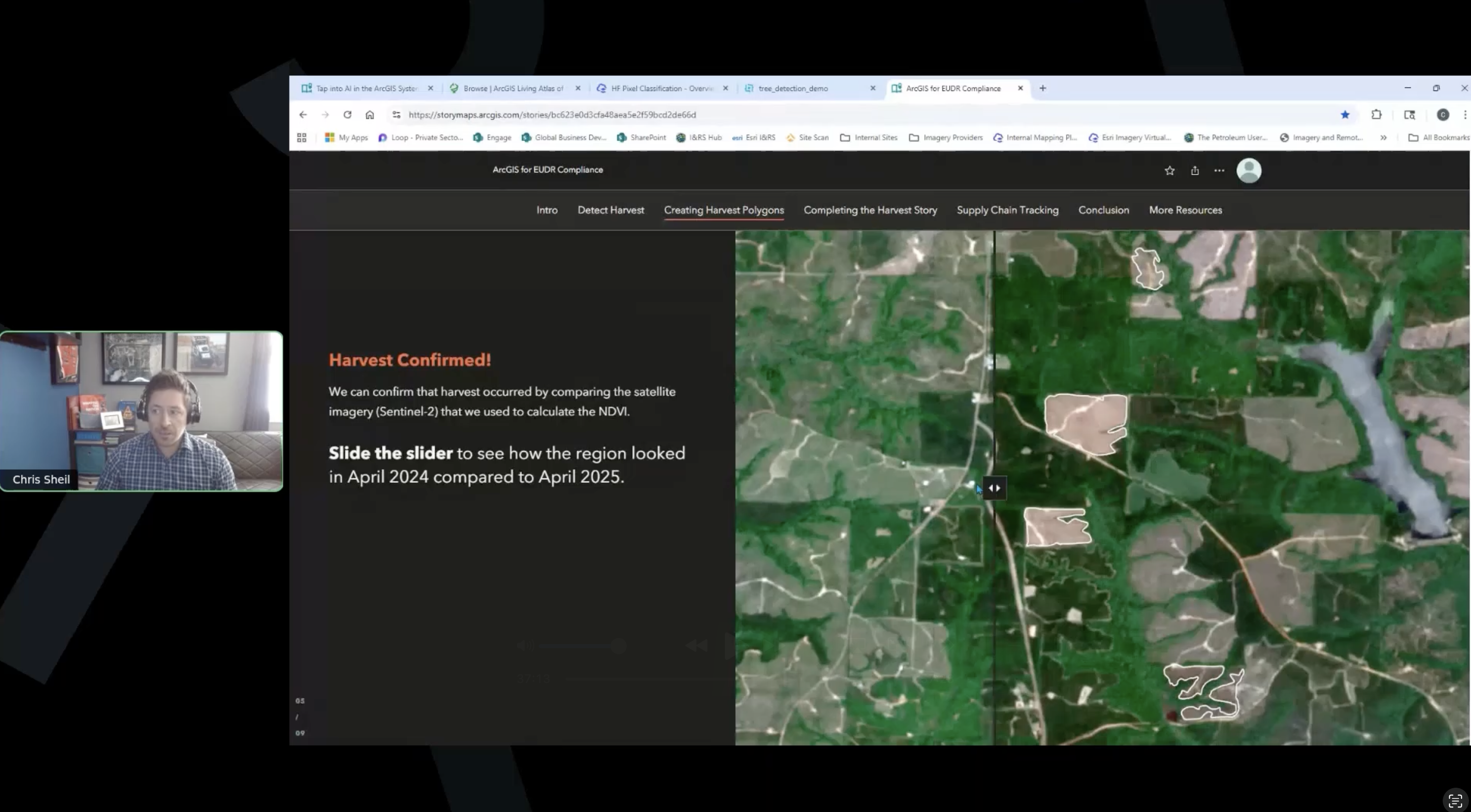 Forestry Webinar - Chris.png Forestry Webinar - Chris.png
