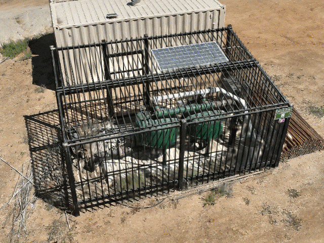 Cage_GSplat.gif Cage_GSplat.gif