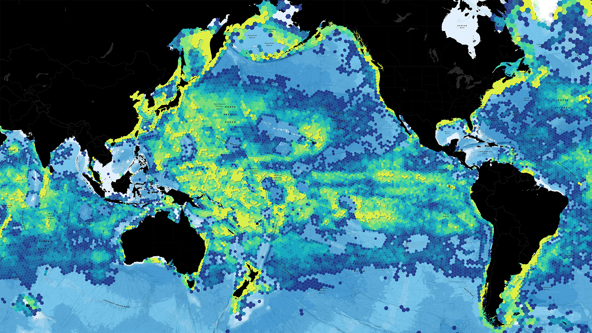 Number-of-Months-in-2020-with-Fishing-Activity_Wide.png Number-of-Months-in-2020-with-Fishing-Activity_Wide.png