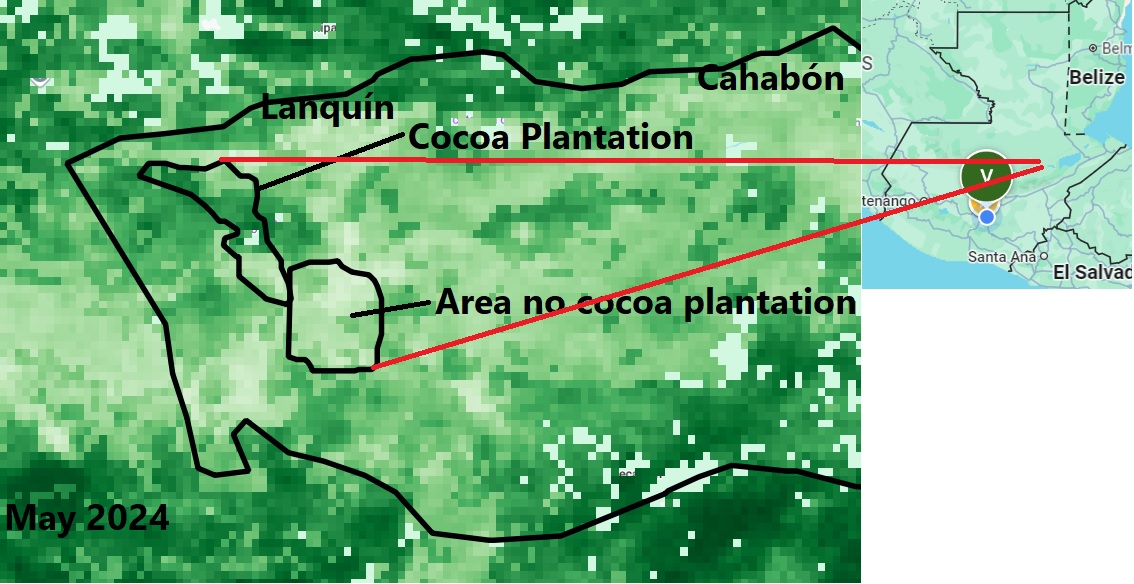 00Cocoa.jpg 00Cocoa.jpg