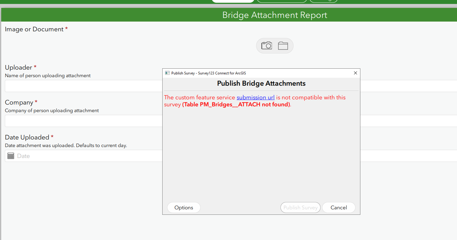 bridge survey.png bridge survey.png