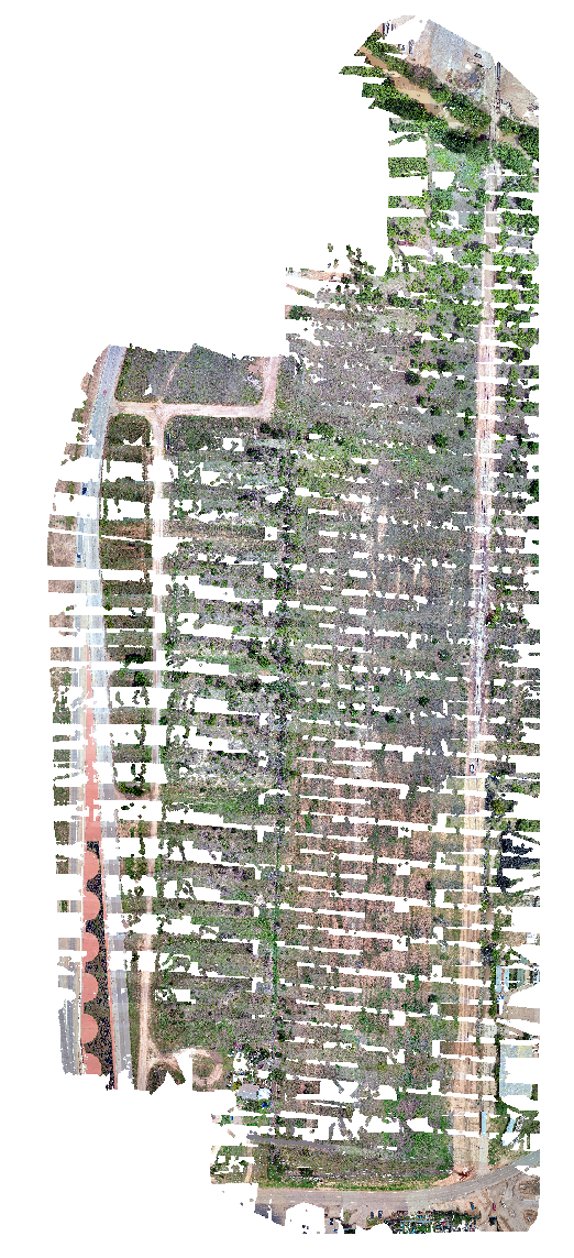 TomMiller1_1-1623971595900.png TomMiller1_1-1623971595900.png