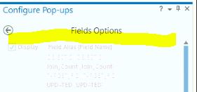 Popup4.JPG Popup4.JPG