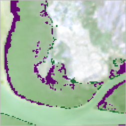 classify_mangroves.png classify_mangroves.png