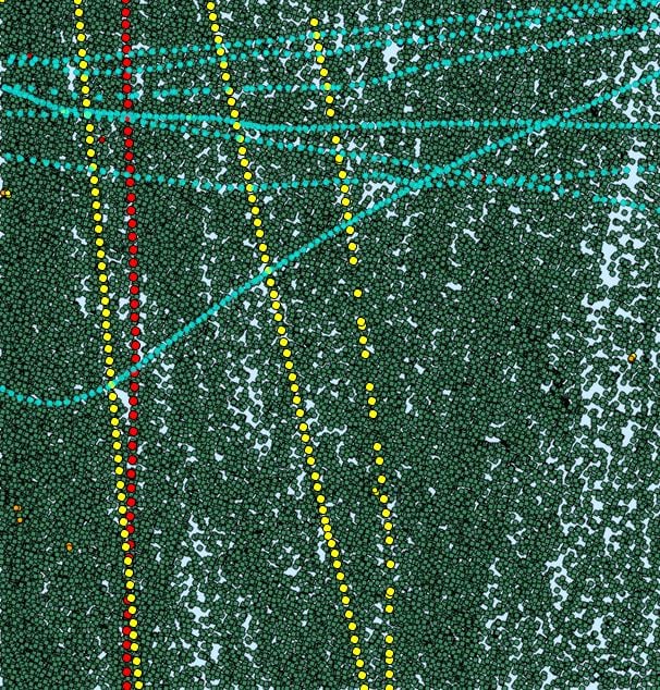 Cotraveler crisscross en masse.JPG Cotraveler crisscross en masse.JPG