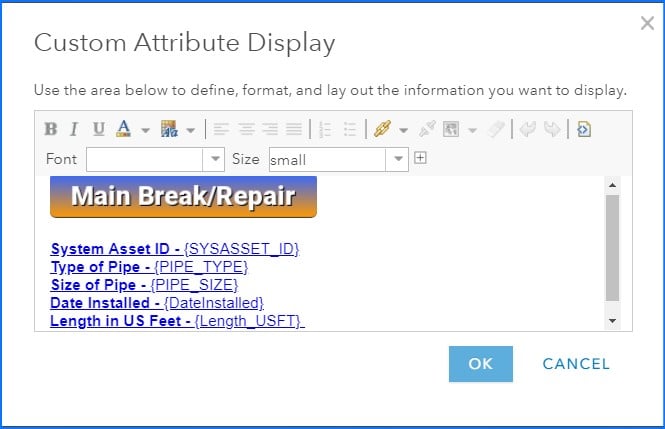 Custom Attribute Display.jpg Custom Attribute Display.jpg