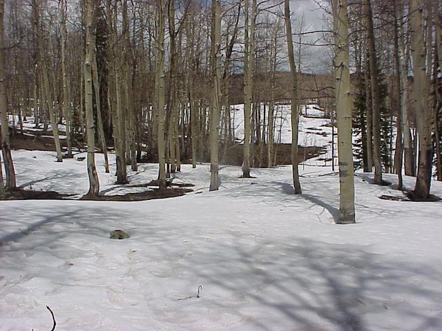 39-108.jpg 39-108.jpg