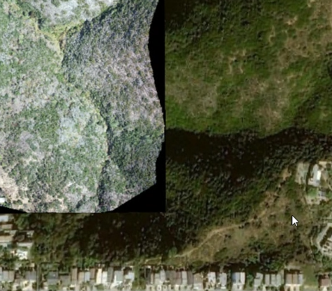 HollyTorpey_LSA_0-1660755851017.png HollyTorpey_LSA_0-1660755851017.png