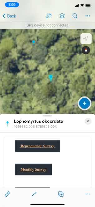 Honey_JaneEstarija1_0-1665696422262.png Honey_JaneEstarija1_0-1665696422262.png