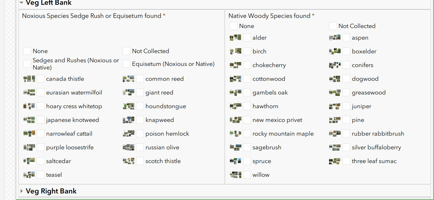 Species List with images.gif