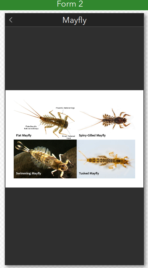 HayleyFish_2-1669759454894.png HayleyFish_2-1669759454894.png