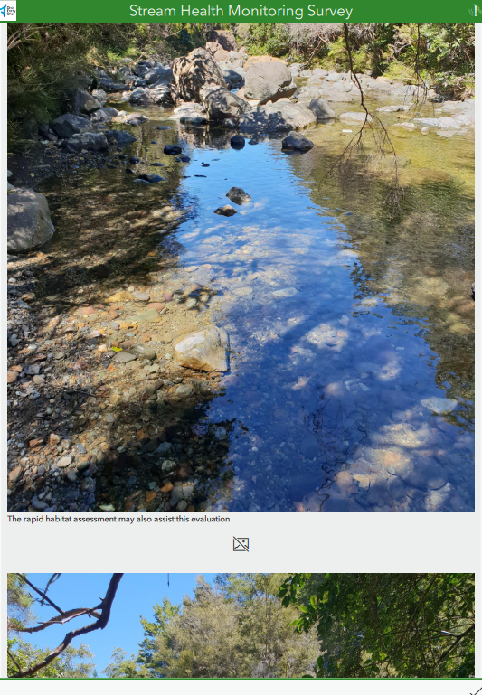 HayleyFish_5-1671144816769.png HayleyFish_5-1671144816769.png
