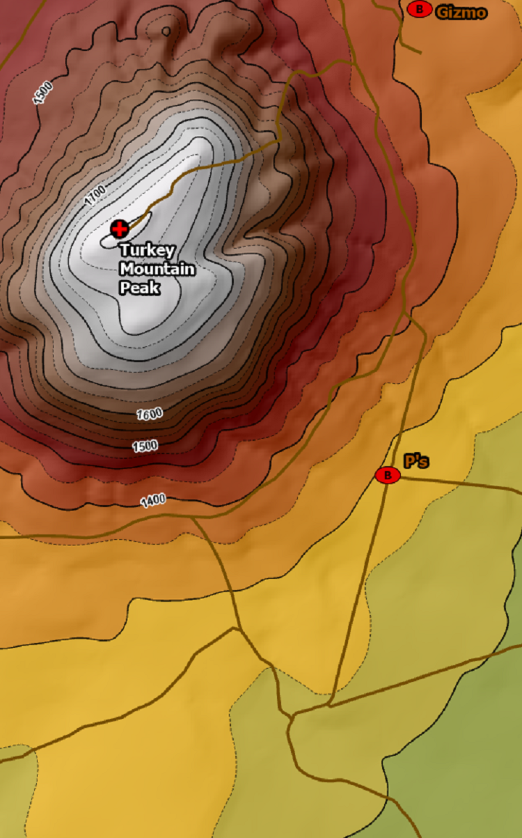 ArcGIS Pro TMR Elevation.PNG ArcGIS Pro TMR Elevation.PNG