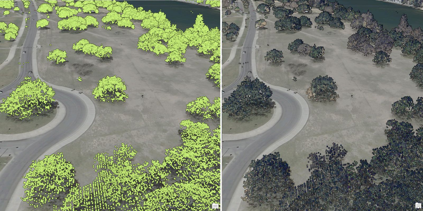 colorize_trees.jpg colorize_trees.jpg