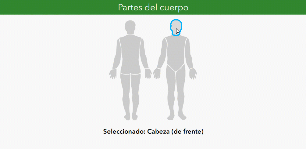 Partes.gif Partes.gif