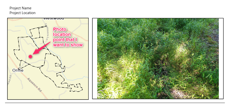 LauraCarson_0-1690912897967.png LauraCarson_0-1690912897967.png