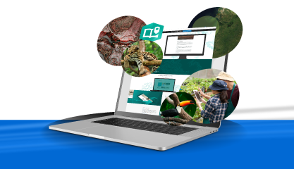 Boletin 24 CUE_ARCGIS STORYMAPS.png Boletin 24 CUE_ARCGIS STORYMAPS.png