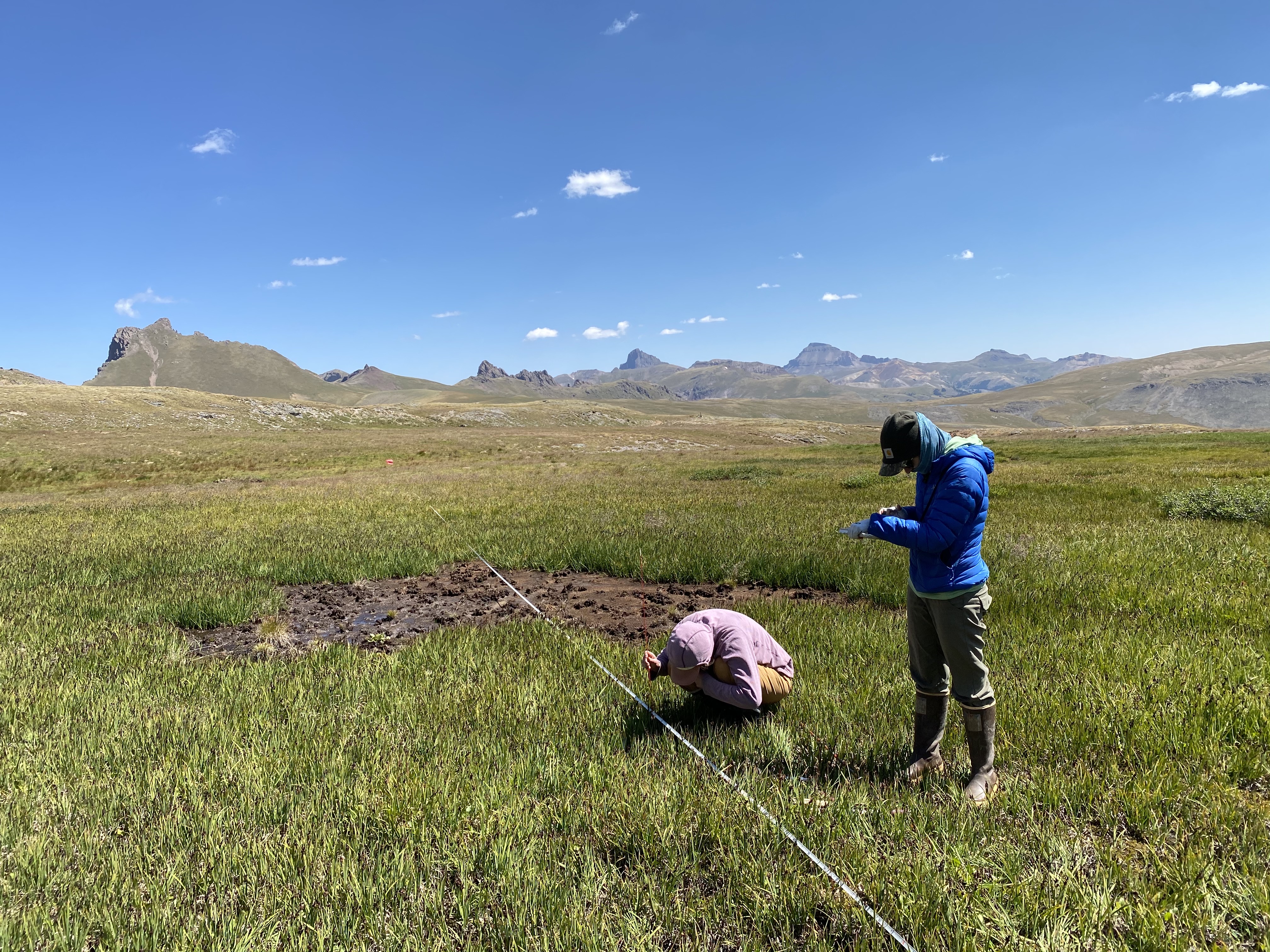 Wetland working conditions 1.jpg Wetland working conditions 1.jpg