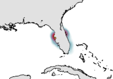 image2.png image2.png
