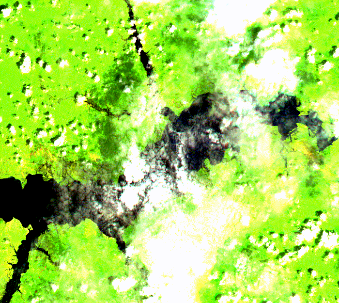 02_Sentinel2_2021.gif 02_Sentinel2_2021.gif