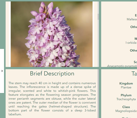 InformationResources1_0-1707477782622.png InformationResources1_0-1707477782622.png