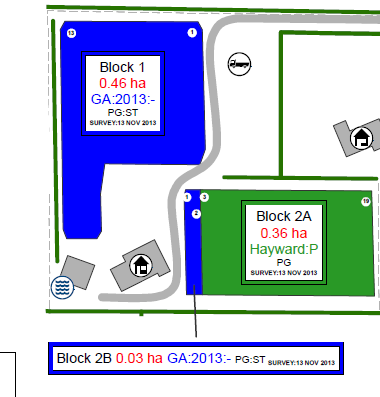 INCORRECT_block_label.png