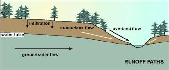 runoff.jpg