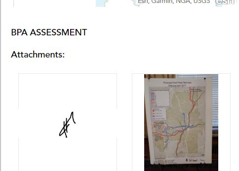 Web app view