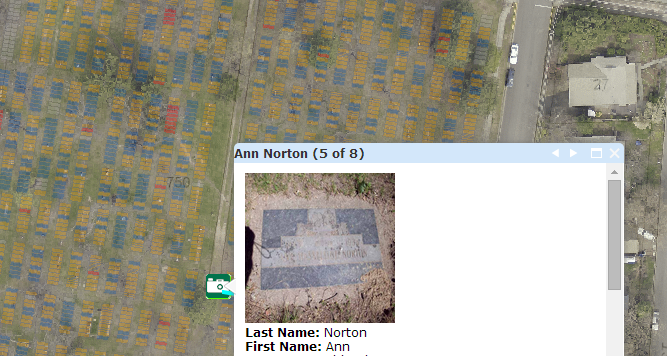 netgeoInfowindow.PNG