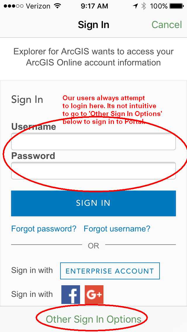Login to Portal in Explorer