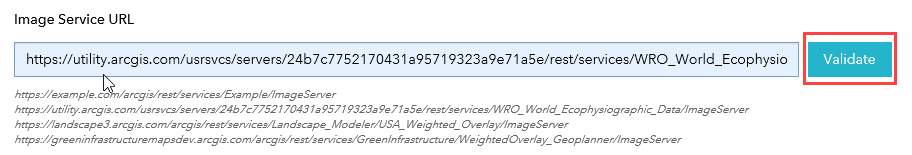 Validate a service