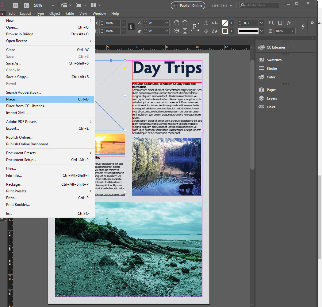 ArcGIS Maps for Adobe Creative Cloud in InDesign