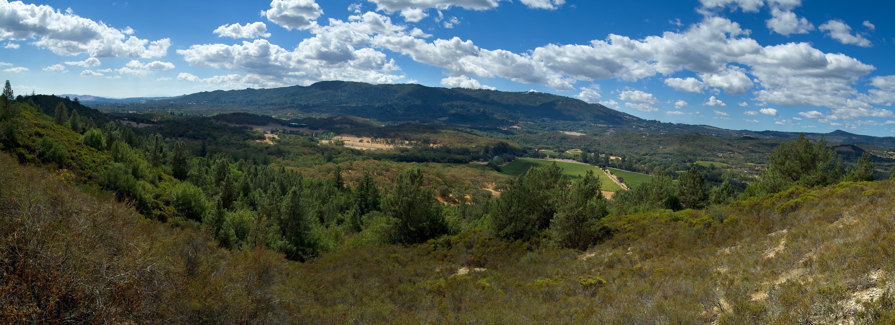 View from Glen Oaks across Sonoma Valley to Sonoma Mountain showing region of wildlife corridor. Stephen Joseph, Sonoma Land Trust.