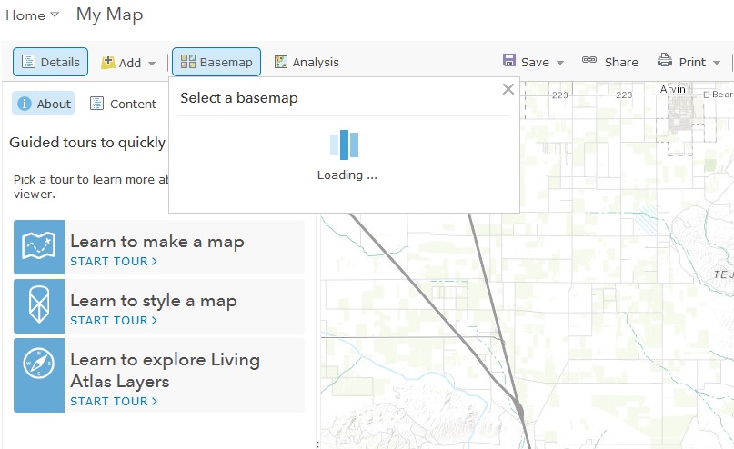 No Basemap ArcGIS Online