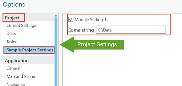 Custom project settings
