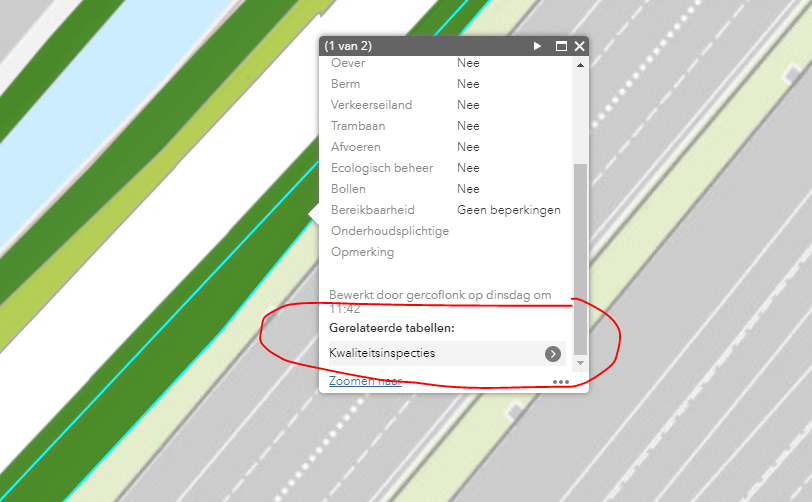 Example of record in webappbuilder