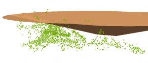 near3d_1-300x128.png