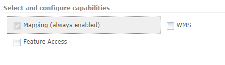 Options from ArcPro