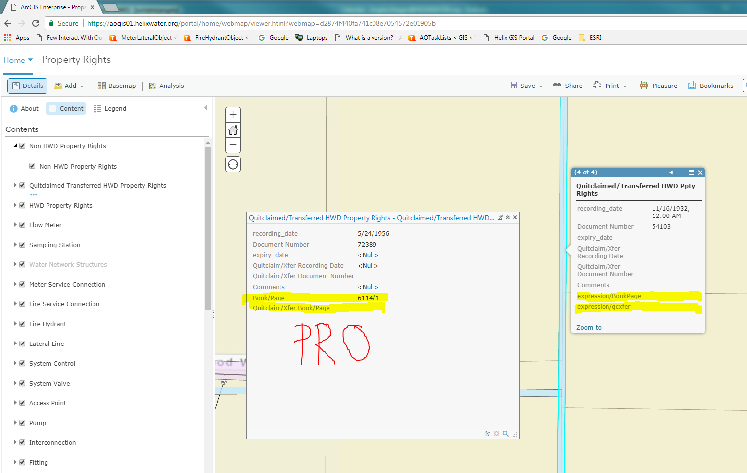 Popup with expressions in Pro - how it appears in webmap