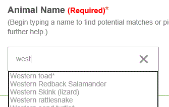 autocomplete in IE