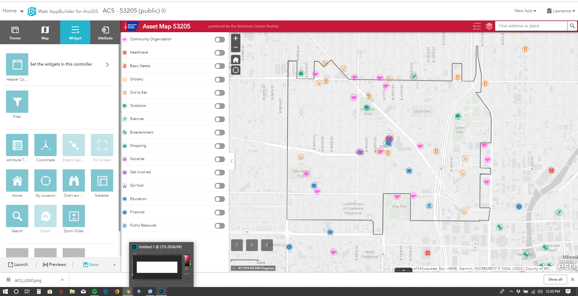 No filters activated. Original icons from web map layer.