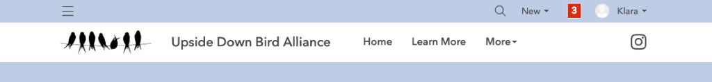 Website showing both compact global nav and standard header