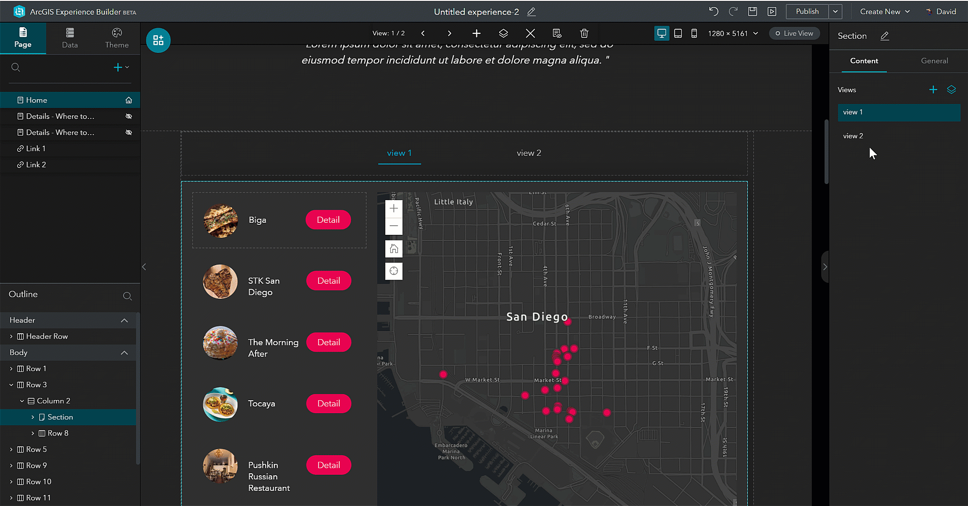 SectionWidget