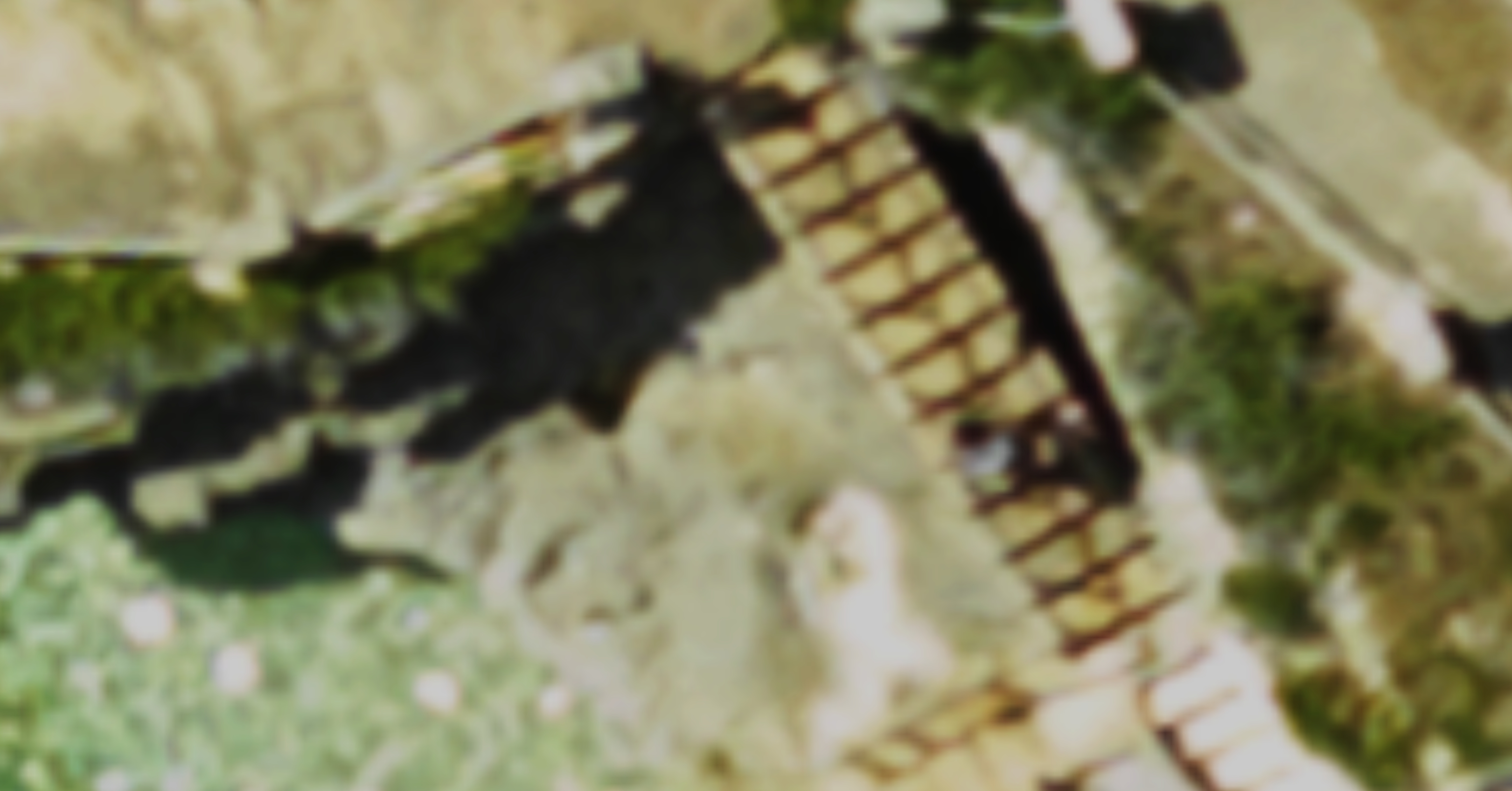 Raster Mosaic