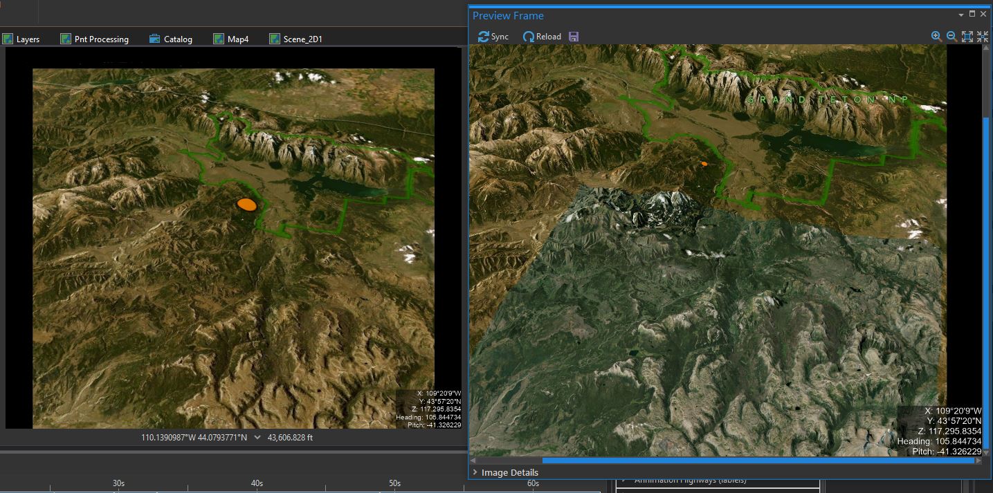 Image of local scene and preview frame