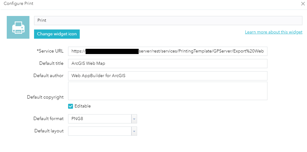 screen capture of print configuration
