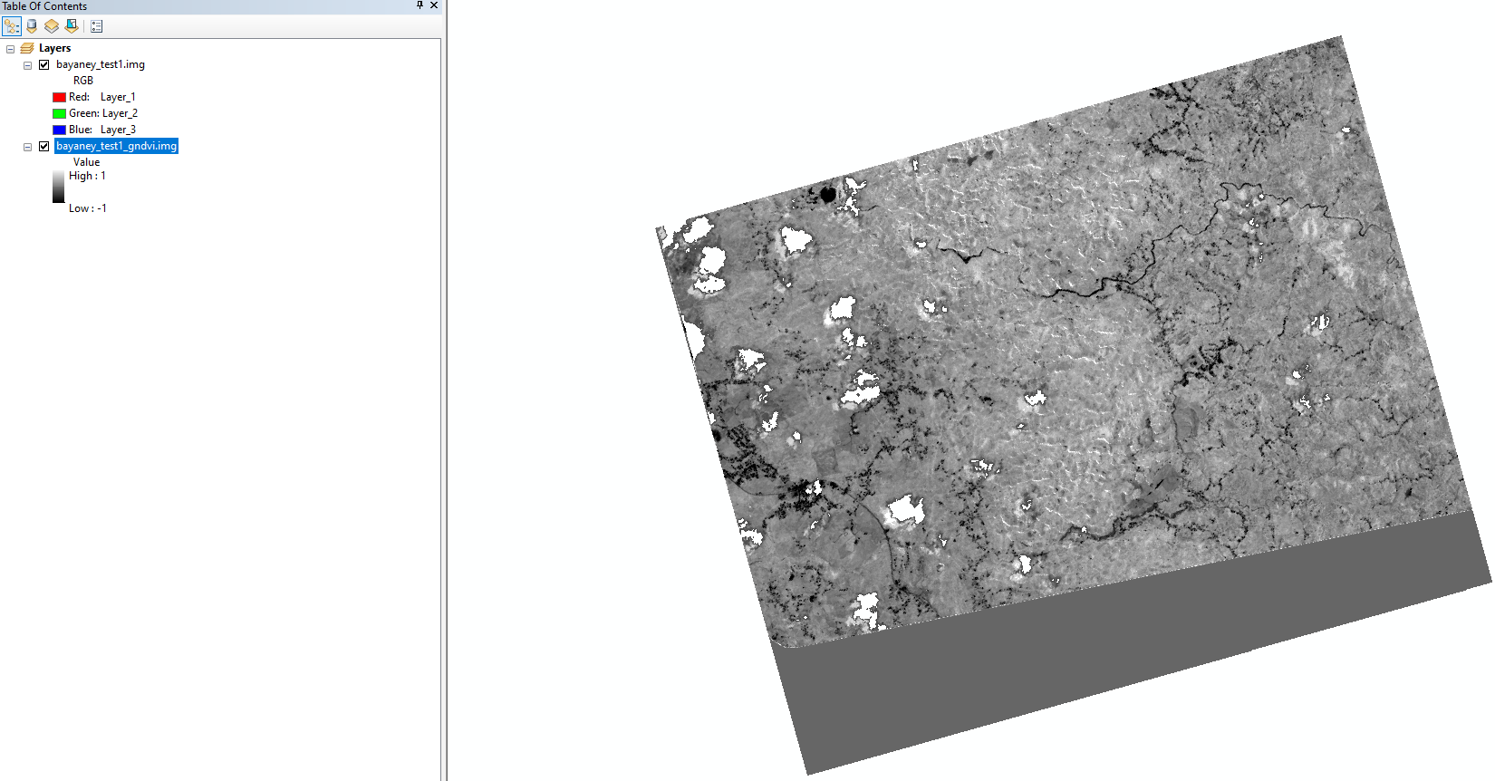 erdas image after process in ArcMap