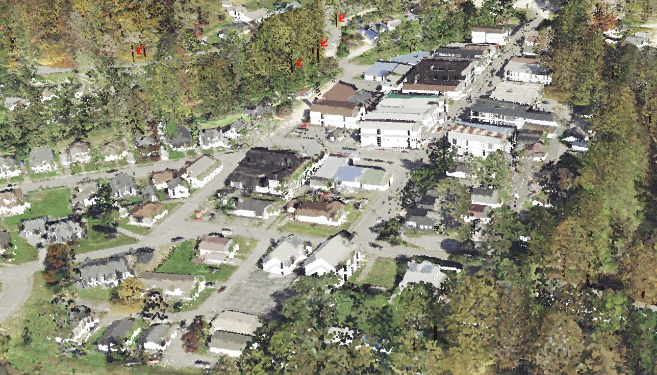 Image showing buildings and tree trunks with beautiful fall imagery applied to lidar