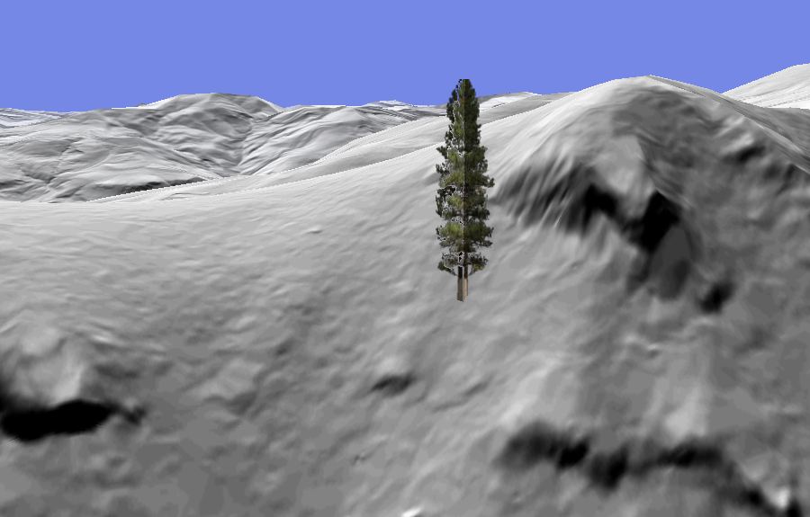 3D_tree_marker.JPG