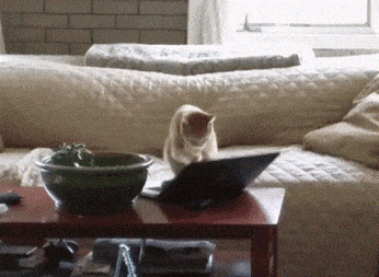 7bHkVIT.gif